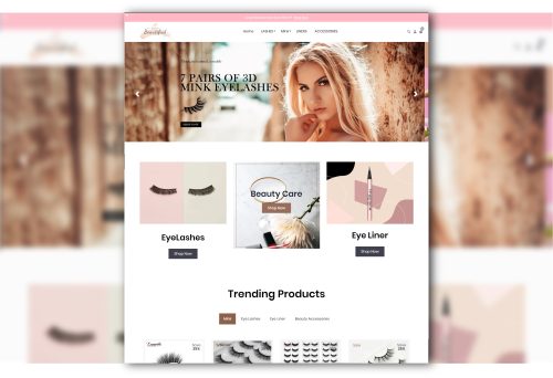 Premium Shopify Dropshipping Store