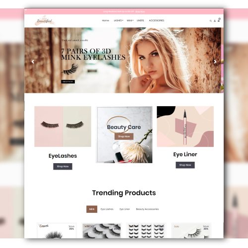 Premium Shopify Dropshipping Store